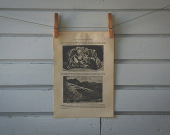 1910s Vintage Gold Illustration