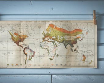 1887 Vintage Crops Distribution Map of the World
