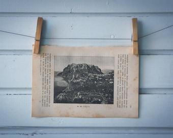 1894 Vintage Capri Lithograph Illustration