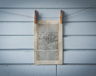 1887 Vintage New York Map