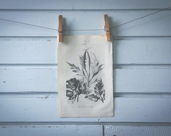 1871 Vintage Beech Leaves Lithograph Illustration