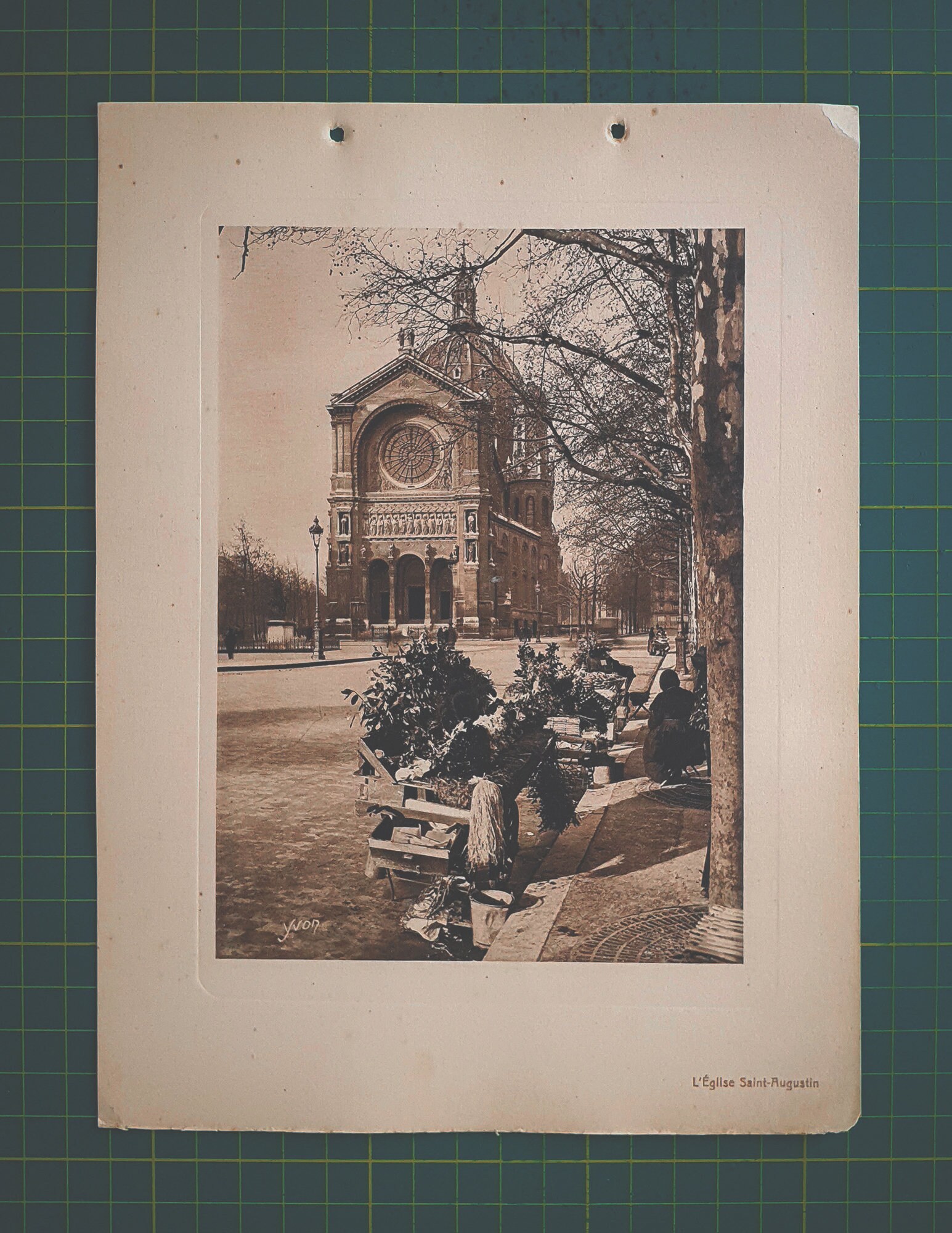 gallery photo