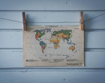 1936 Vintage World Vegetation Map