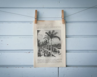 1897 Vintage Buenos Aires Lithograph Illustration