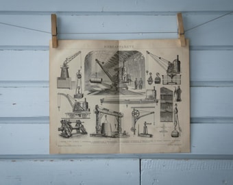 1887 Vintage Cranes Lithograph Illustration