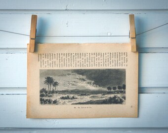 1890 Vintage Landes Lithograph Illustration