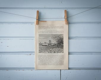1897 Vintage Farm Lithograph Illustration