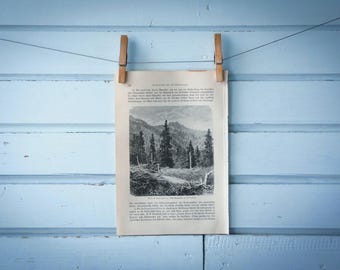 1897 Vintage Rocky Mountains Lithograph Illustration