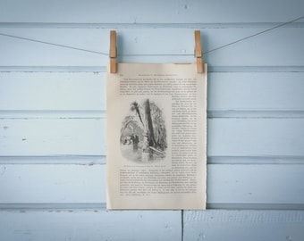 1897 Vintage Ocklawaha River Post Office Lithograph Illustration