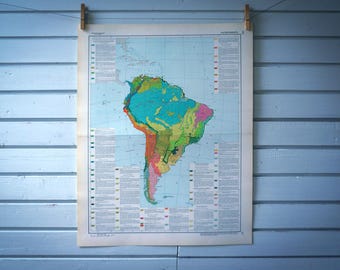 1964 Vintage South America Flora Map