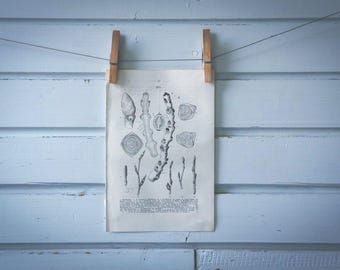 1871 Vintage Plant Shoot Lithograph Illustration