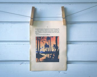 1930 Vintage Oasis Illustration