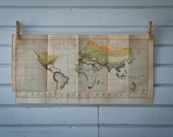 1887 Vintage Crops Distribution Map of the World