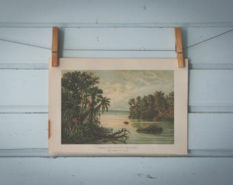 1897 Vintage Amazon Chromolithograph Illustration