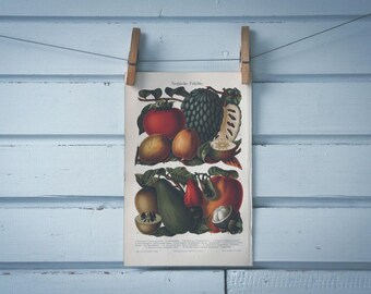 1907 Vintage Tropical Fruits Chromolithograph Illustration