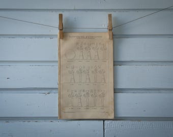 1887 Vintage Ancient Egyptian Deities Lithograph Illustration