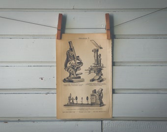 1909 Vintage Microscope Lithograph Illustration