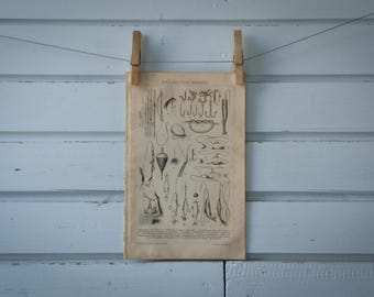 1887 Vintage Angling Lithograph Illustration
