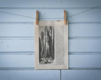 1897 Vintage Ausable Chasm Lithograph Illustration