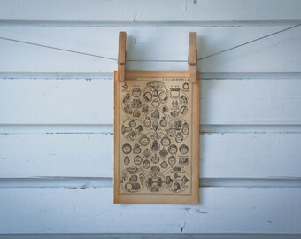 1921 Vintage Rings Illustration