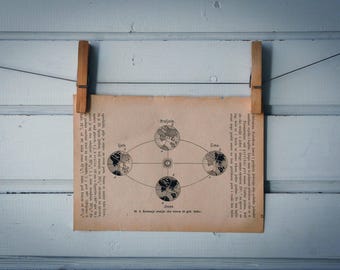 1888 Vintage Earth's Revolution Lithograph Illustration
