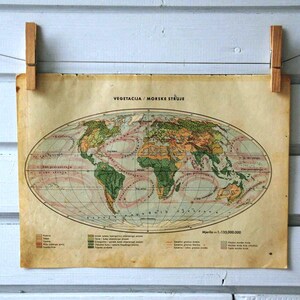 1934 Vintage World Map of Vegetation & Ocean Currents