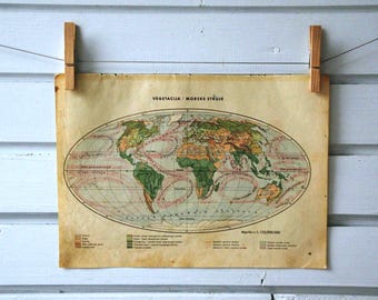 1934 Vintage World Map of Vegetation & Ocean Currents