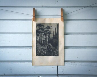 1884 Vintage Romance Illustration