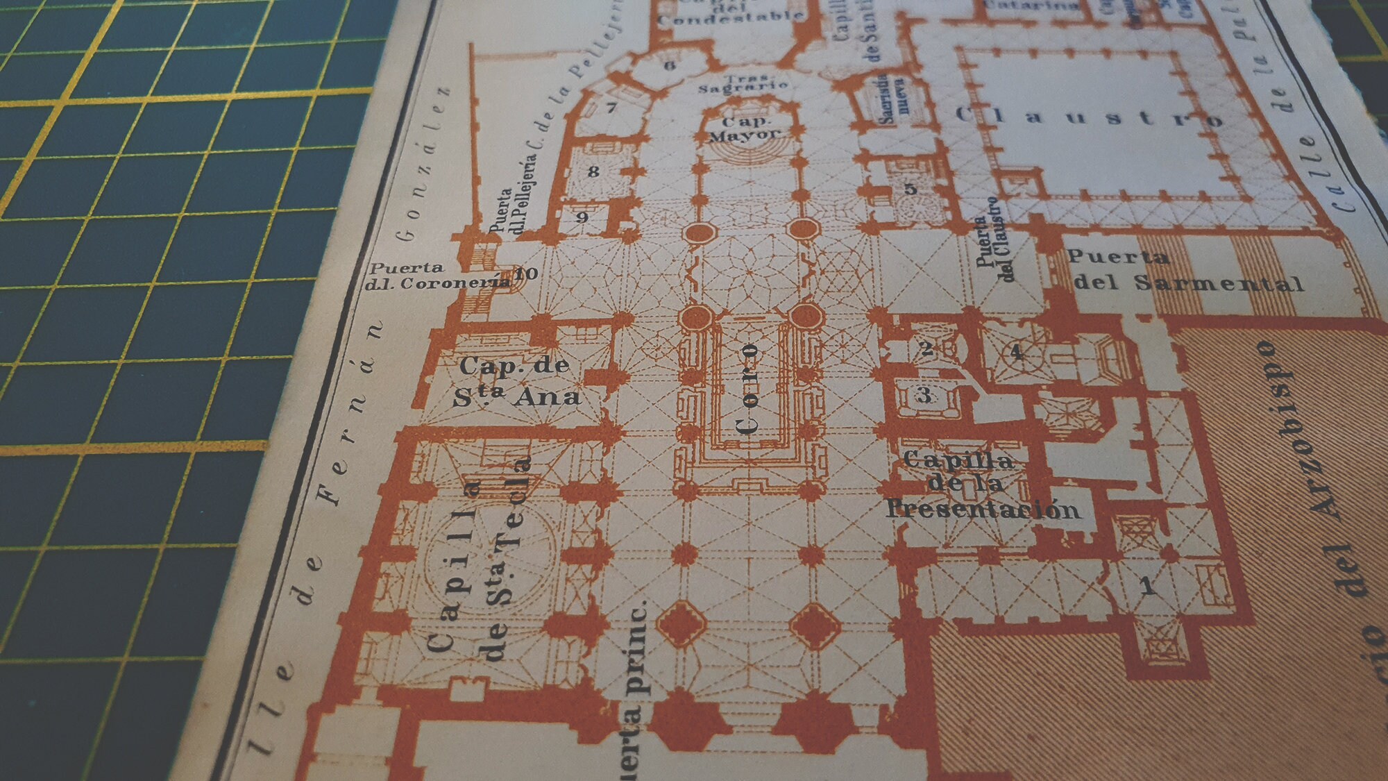gallery photo