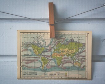 1910s Vintage World Map of Ocean Currents & Cultivation