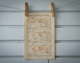 1907 Vintage Mammal Areals World Map