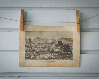 1894 Vintage Roman Campagna Lithograph Illustration
