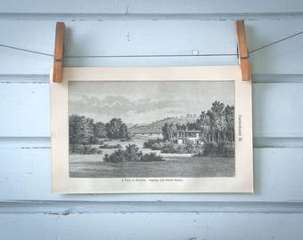 1907 Vintage Muskau Park Lithograph Illustration