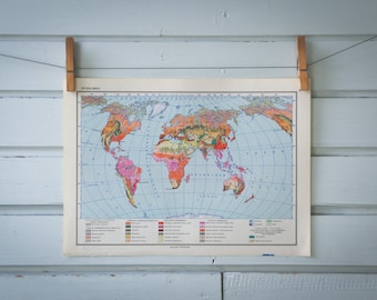 1967 Vintage World Soils Map