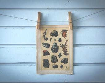 1897 Vintage Ores Chromolithograph Illustration