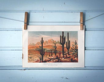 1897 Vintage Utah Chromolithograph Illustration