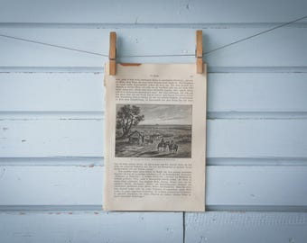 1897 Vintage Pampas Lithograph Illustration