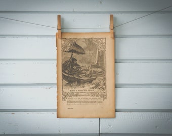 1900s Vintage Robinson Crusoe Illustration