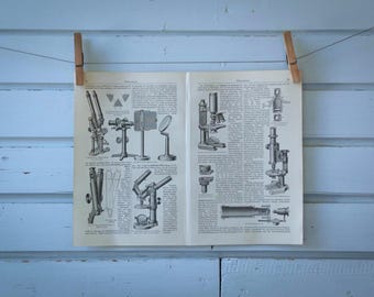 1907 Vintage Microscope Lithograph Illustration