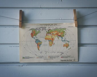 1936 Vintage World Vegetation Map