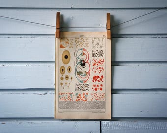 1926 Vintage Blood Illustration