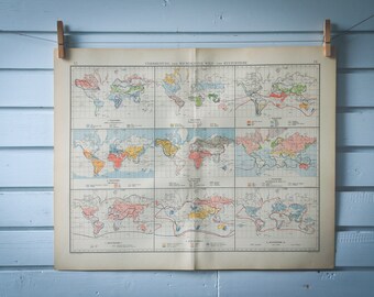 1901 Vintage World Fauna Map