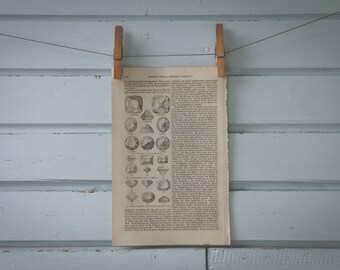 1907 Vintage Precious Stones Facets Illustration