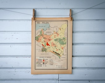 1941 Vintage Map of Poland