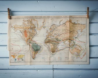 1887 Vintage World Zoogeography Map