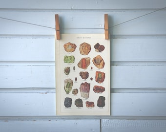 1936 Vintage Gemstones Illustration