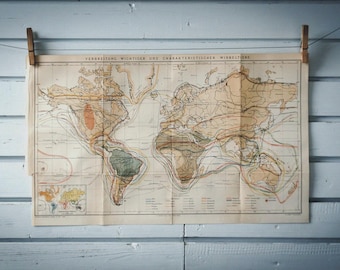1887 Vintage World Zoogeography Map