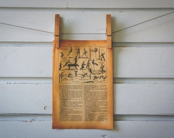 1913 Vintage Gymnastics Lithograph Illustration