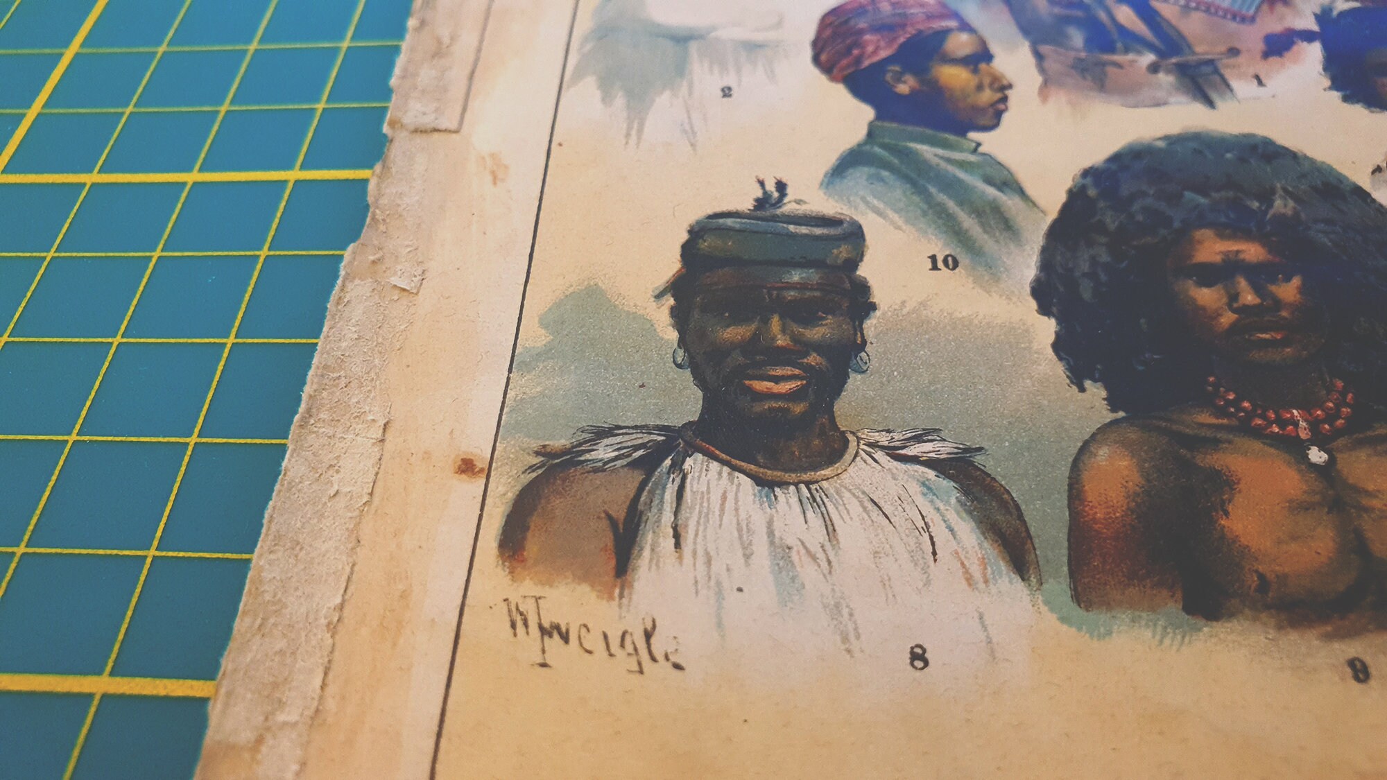 gallery photo