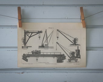 1907 Vintage Cranes Lithograph Illustration